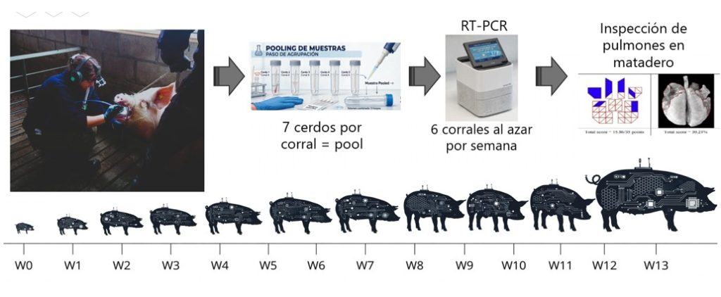 cuadro 1